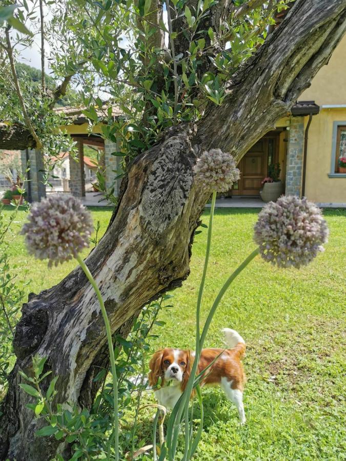 Gragnola Villa Giulia المظهر الخارجي الصورة